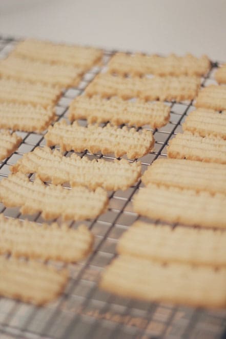 Rezept für zwei Sorten Spritzgebäck nach alten Rezepten unserer Familien. Ohne Haselnuss von Oma Lore und mit Haselnuss von Saschas Mama Moni.