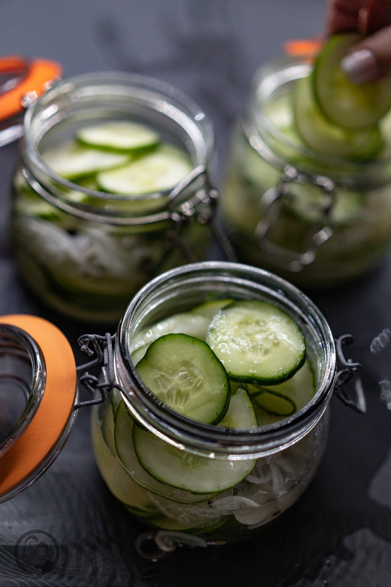 Gewürzgurken 7 Gewürzgurken 8 | Durch unser Marmeladenkochbuch haben wir uns ja schon sehr mit dem Haltbarmachen von Lebensmitteln auseinander gesetzt. Und das haben ja schließlich unsere Omas und Mütter auch schon immer getan. Im Keller standen allerdings nicht nur leckerer Marmeladegläser und eingekochte Früchte, wie Pflaumen, Kirschen oder Mirabellen, sondern auch ganz viel Gemüse aus dem Garten. Ganz oben auf Urgroßmutters Liste standen jedes Jahr die Schnibbelbohnen, die sie an langen Stangen, um die sich die Pflanzen rankten, mit mir gepflückt hat. Damit wurde dann entweder Bohnensuppe oder Schnibbelbohnen-Stampf gekocht. Eins meiner Lieblingsgerichte in der Kindheit. Leider baut Muddi keine Bohnen mehr an, aber dafür eine ganze Menge anderer toller Gemüse und Früchte. Und weil ihre Gurkenernte in diesem Jahr wieder einmal so groß ist, dass sie selber nicht mehr weiss, wie sie sie so schnell essen soll, haben wir beide uns gedacht, Gewürzgurken einzukochen. Denn alle zu Gurkensalat verarbeiten ist auch keine Lösung.