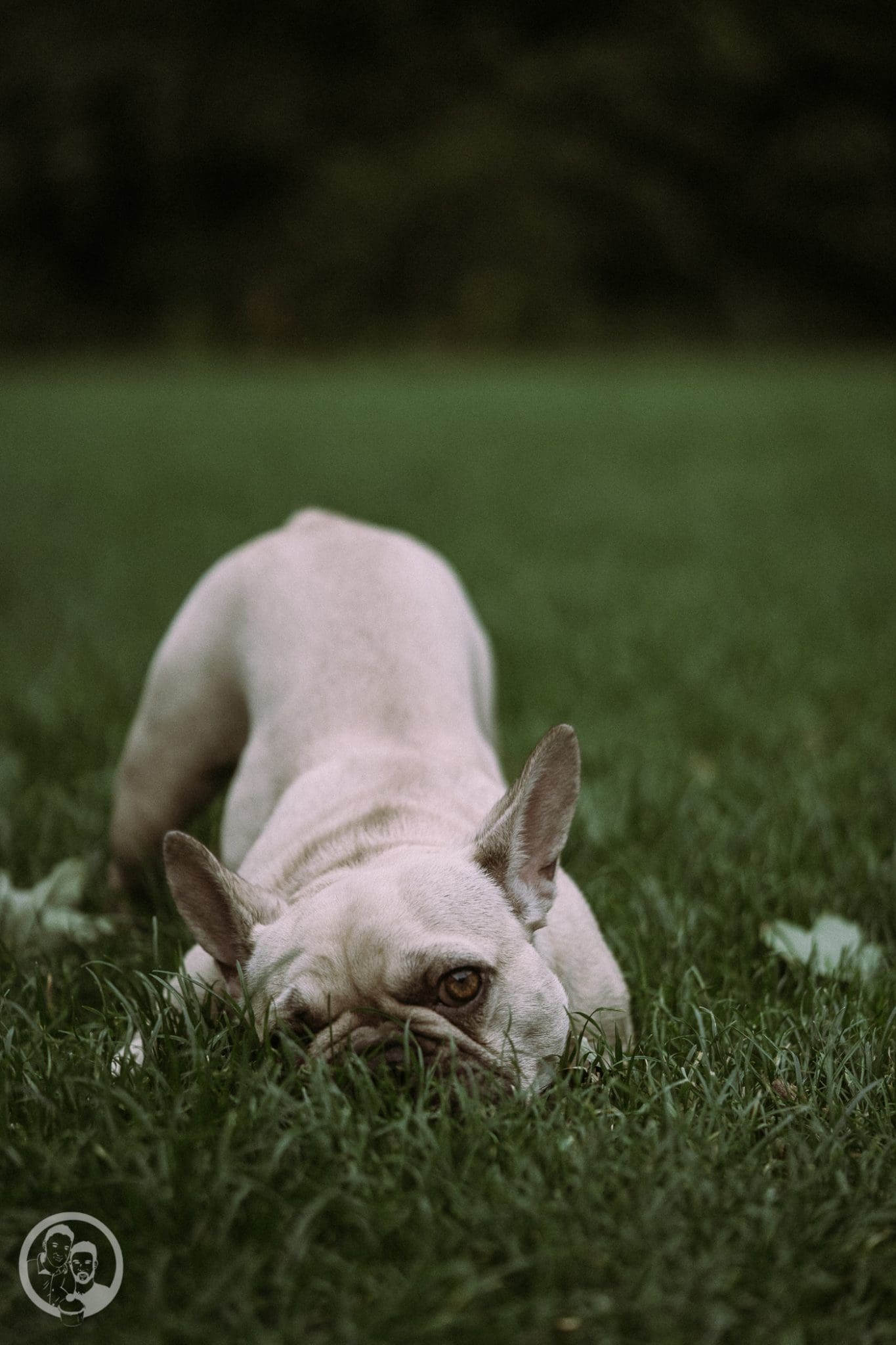 Gin gebeizter Thunfisch 8 foodbloghouse nl 7 | Heute schreibe ich euch aus unserem Food.Blog.House. in den Niederlanden. Hier verbringen wir ein Wochenende mit liebgewonnen Foodblogger-Kollegen und wir verwöhnen uns selber mit einem 10-Gänge-Menü! Wir sind für den Fischgang zuständig und haben lange getüftelt über unser Gericht für diesen besonderen Tag. In Gin gebeizter Thunfisch mit Wasabipüree und Pak Choi - klingt doch nach einer guten Wahl, oder?!