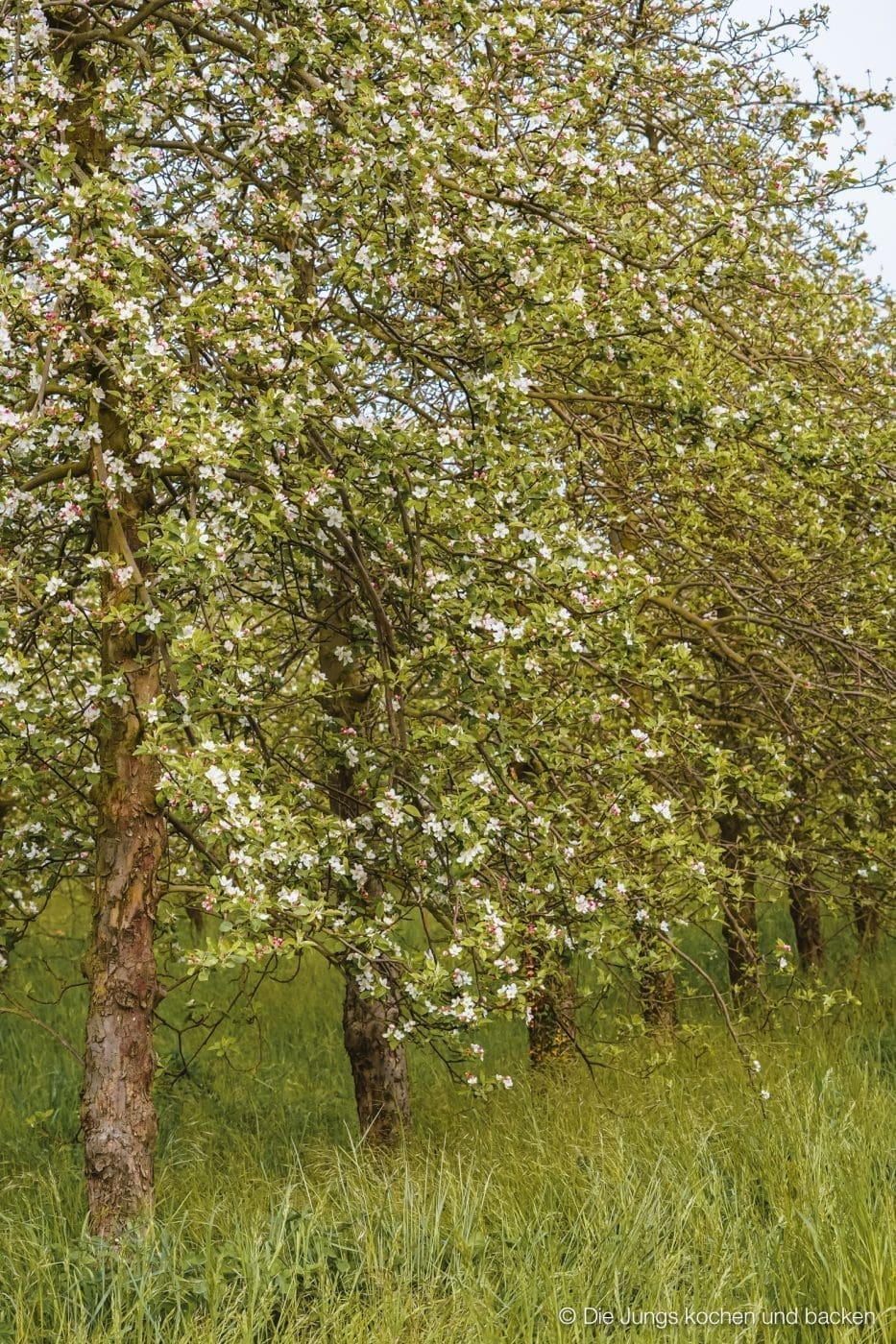 Wohnmobil Etrusco Bretagne 236 | Heute haben wir einen besonderen Reisebericht für euch, denn wir hatten eine absolute Premiere: Reisen mit einem Wohnmobil! 5 Tage lang waren wir unterwegs und unser Ziel war die wunderschöne Smaragdküste in der Bretagne. Hier haben wir es uns kulinarisch richtig gut gehen lassen, tolle Eindrücke gesammelt und vor allem unser schickes Gefährt von Etrusco ausgiebig testen können. In diesem Beitrag nehmen wir euch mit auf unsere Tour: Von unseren persönlichen Highlights, den besten Stellplätzen bis hin zu den unverzichtbaren Genüssen, die die Bretagne zu bieten hat. Also, schnall dich an – los geht’s!