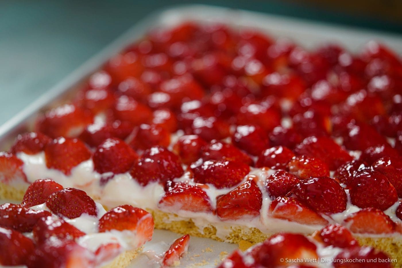 Erdbeerkuchen vom Blech 5 Erdbeer Blechkuchen 4 | Es gibt 2 Früchte, die zur selben Zeit Saison haben, die wir beide super gerne verarbeiten und essen und die auch noch perfekt zusammen passen. Heute ist es zwar nicht der Rhabarber, den wir auf dem Schirm haben, sondern die Erdbeere. Findet ihr nicht auch, dass diese Zeit des Jahres einfach die allerbeste ist, weil ein Erdbeerkuchen oder auch ein Rhabarberkuchen sowas von erfrischend ist, dass man fast jede andere Frucht einfach stehen lassen könnte?! Und dabei gibt es auch noch Millionen Möglichkeiten, die leckeren Früchte zu verarbeiten - da sind der Fantasie keine Grenzen gesetzt.