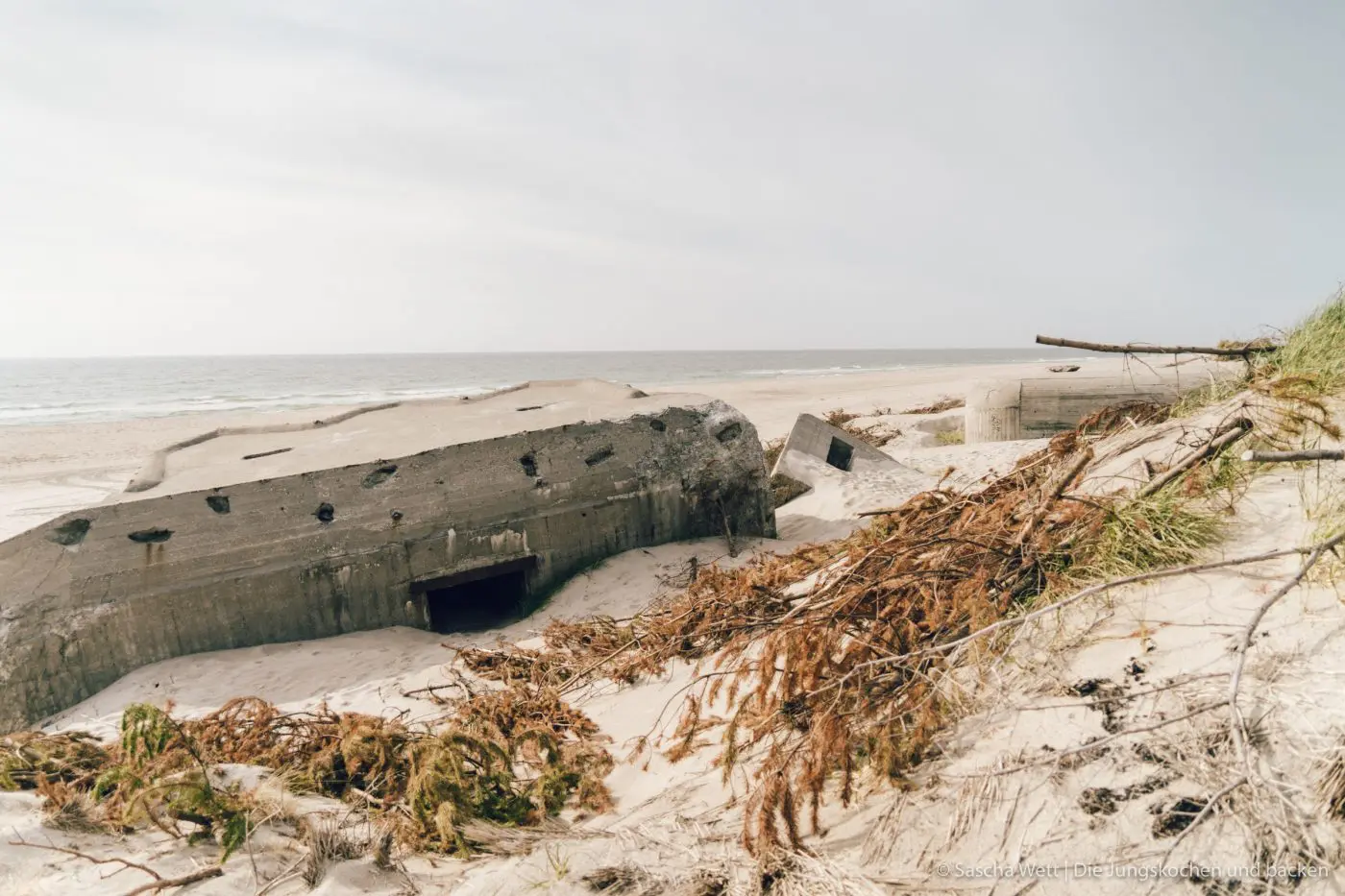 Hvide Sande - Kulinarische Highlights und Tipps | Dänemark 32 HvideSande Daenemark reise 172 1400x933.jpg 1 | Wenn man, wie wir, in der Mitte von Deutschland lebt, ist es immer recht unterschiedlich, wohin es einen schon in Kindertagen so gezogen hat. Bei uns war es jeweils eher Richtung Süden. Mich an den Bodensee und Torsten nach Österreich und den Bayerischen Wald. Daher fehlte uns, bis heute, der Norden noch komplett und so ging es für uns dass erste Mal nach Dänemark. Um genau zu sein nach Hvide Sande. Heute werden wir euch unsere kulinarischen Highlights und ein paar Tipss zu diesem beliebten Ferienziel in Dänemark zeigen.