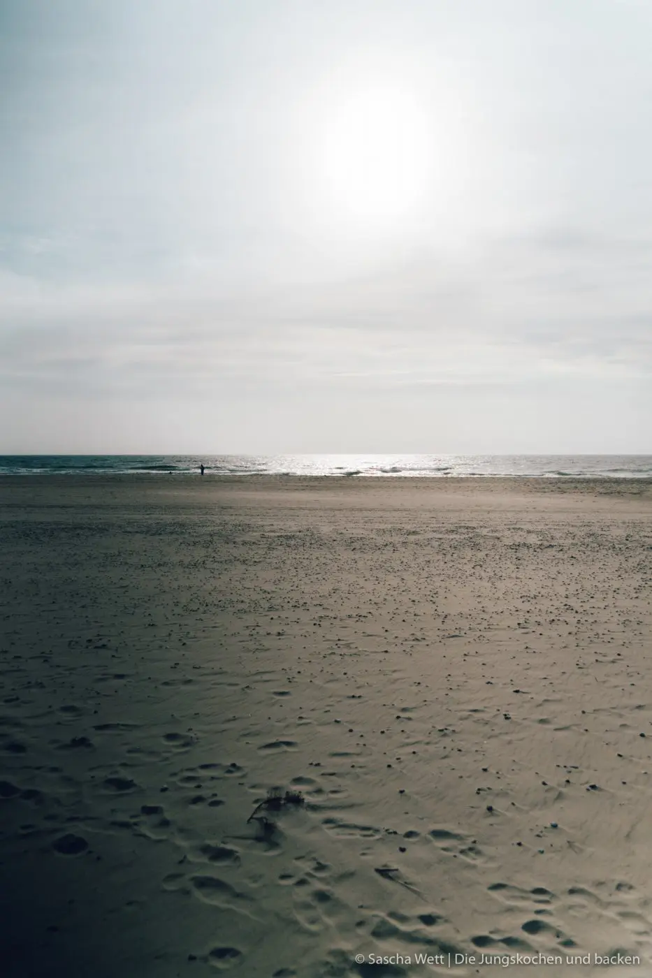 Hvide Sande - Kulinarische Highlights und Tipps | Dänemark 51 HvideSande Daenemark reise 185 | Wenn man, wie wir, in der Mitte von Deutschland lebt, ist es immer recht unterschiedlich, wohin es einen schon in Kindertagen so gezogen hat. Bei uns war es jeweils eher Richtung Süden. Mich an den Bodensee und Torsten nach Österreich und den Bayerischen Wald. Daher fehlte uns, bis heute, der Norden noch komplett und so ging es für uns dass erste Mal nach Dänemark. Um genau zu sein nach Hvide Sande. Heute werden wir euch unsere kulinarischen Highlights und ein paar Tipss zu diesem beliebten Ferienziel in Dänemark zeigen.