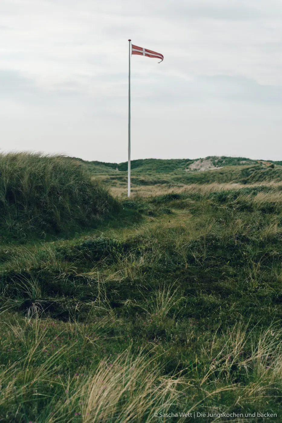 Hvide Sande - Kulinarische Highlights und Tipps | Dänemark 44 HvideSande Daenemark reise 189 | Wenn man, wie wir, in der Mitte von Deutschland lebt, ist es immer recht unterschiedlich, wohin es einen schon in Kindertagen so gezogen hat. Bei uns war es jeweils eher Richtung Süden. Mich an den Bodensee und Torsten nach Österreich und den Bayerischen Wald. Daher fehlte uns, bis heute, der Norden noch komplett und so ging es für uns dass erste Mal nach Dänemark. Um genau zu sein nach Hvide Sande. Heute werden wir euch unsere kulinarischen Highlights und ein paar Tipss zu diesem beliebten Ferienziel in Dänemark zeigen.