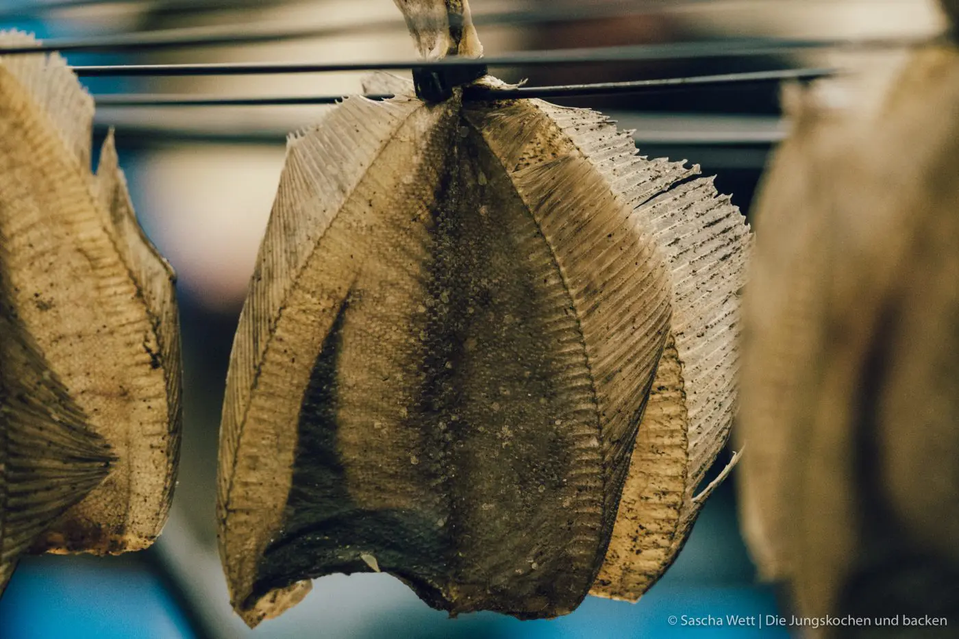 Hvide Sande - Kulinarische Highlights und Tipps | Dänemark 6 HvideSande Daenemark reise 205 | Wenn man, wie wir, in der Mitte von Deutschland lebt, ist es immer recht unterschiedlich, wohin es einen schon in Kindertagen so gezogen hat. Bei uns war es jeweils eher Richtung Süden. Mich an den Bodensee und Torsten nach Österreich und den Bayerischen Wald. Daher fehlte uns, bis heute, der Norden noch komplett und so ging es für uns dass erste Mal nach Dänemark. Um genau zu sein nach Hvide Sande. Heute werden wir euch unsere kulinarischen Highlights und ein paar Tipss zu diesem beliebten Ferienziel in Dänemark zeigen.