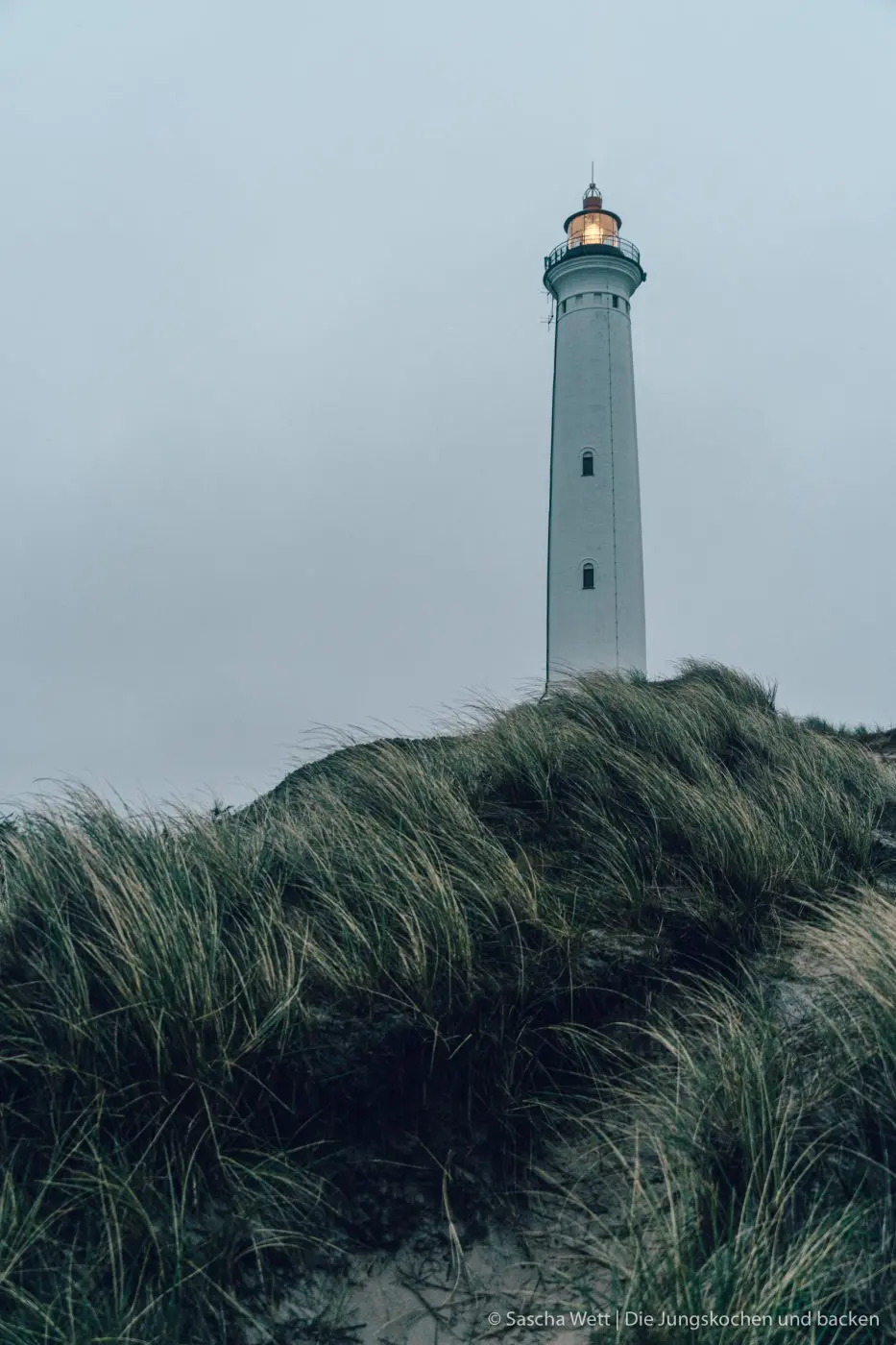 Hvide Sande - Kulinarische Highlights und Tipps | Dänemark 17 HvideSande Daenemark reise 6 | Wenn man, wie wir, in der Mitte von Deutschland lebt, ist es immer recht unterschiedlich, wohin es einen schon in Kindertagen so gezogen hat. Bei uns war es jeweils eher Richtung Süden. Mich an den Bodensee und Torsten nach Österreich und den Bayerischen Wald. Daher fehlte uns, bis heute, der Norden noch komplett und so ging es für uns dass erste Mal nach Dänemark. Um genau zu sein nach Hvide Sande. Heute werden wir euch unsere kulinarischen Highlights und ein paar Tipss zu diesem beliebten Ferienziel in Dänemark zeigen.