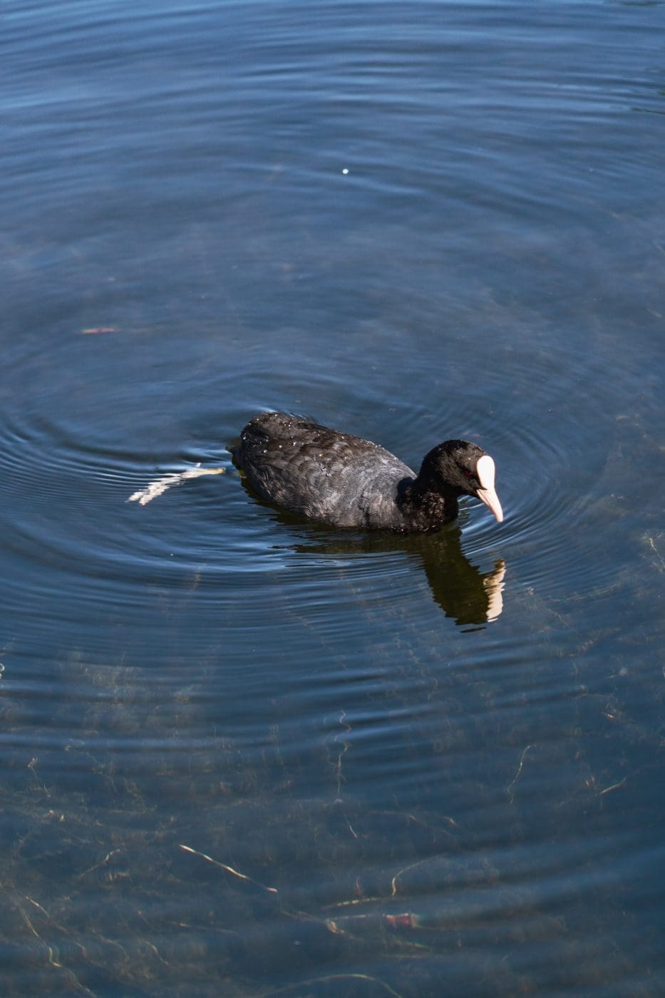 Foodguide Tilburg & Breda - Das Foodie-Paradies nebenan 5 Visit Brabant Tilburg 4 | Wenn ihr wie wir im Westen der Republik wohnt, dann werdet ihr das kennen. Der schnellste Weg ans Meer ist der, zur niederländischen Küste! Genau da waren wir auch schon oft mit Freunden, aber das Landesinnere haben wir auch meist weniger beachtet. Dabei gibt es eine super spannende Region und das mal gerade 2 Stunden mit dem Auto entfernt - Brabant. Diese Region in den Niederlanden gilt als das Foodie-Paradies schlechthin und wir haben uns mehr als gefreut, genau diese Aussage einmal auf die Probe zu stellen. Also gibt es heute den ultimativen Foodguide für euch!