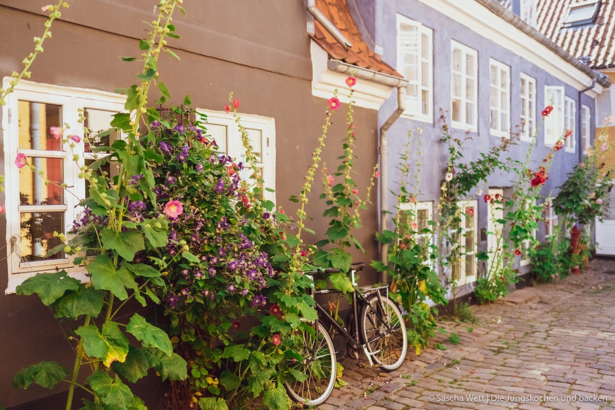 Ein Wochenende in Aalborg | Tour-Guide 1 Aalborg visitdenmark 105 | Dieses Jahr war, was das Reisen angeht, ganz klar von einem Land geprägt - Dänemark! Gleich zweimal hat es uns dieses Jahr in den Norden verschlagen. Nachdem wir die Nordsee im schönen Hvide Sande in vollen Zügen genießen konnten, ging es dieses Mal mehr ins Landesinnere. Die dänische Großstadt Aalborg in Nordjütland galt es zu erkunden. Und wie ihr wisst, gehen bei uns zwei Aspekte immer Hand in Hand. Reisen und Kulinarik. Beide sind für uns eng verbunden, daher ist es selbstverständlich, dass wir euch mit einem Foodguide zu Aalborg versorgen. Was kann man an einem Wochenende in Aalborg erleben? Was sollte man gesehen haben? Und am Wichtigsten, wo solltet ihr gegessen haben?