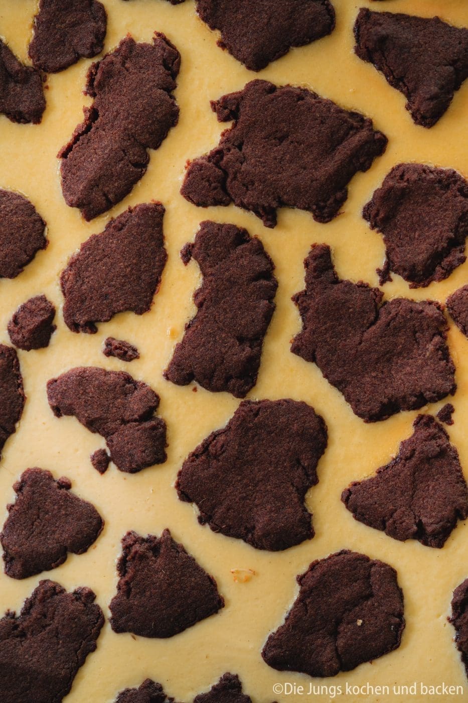 Russischer Zupfkuchen vom Blech 3 Russischer Zupfkuchen 12 | Wo kommen eigentlich die Bezeichnungen einiger Gebäcke her? Der russische Zupfkuchen steht auch schon ewig auf unserer Rezeptliste. Endlich haben wir, nach ein paar Fehlversuchen, ein passendes Rezept für diesen russischen Kuchenklassiker... aber Moment! Ist er das überhaupt? Dem wollen wir auf den Grund gehen. Und nachdem wir das Rätsel gelöst haben, gibt es dann unser Rezept für einen saftigen Russischen Zupfkuchen vom Blech für euch.