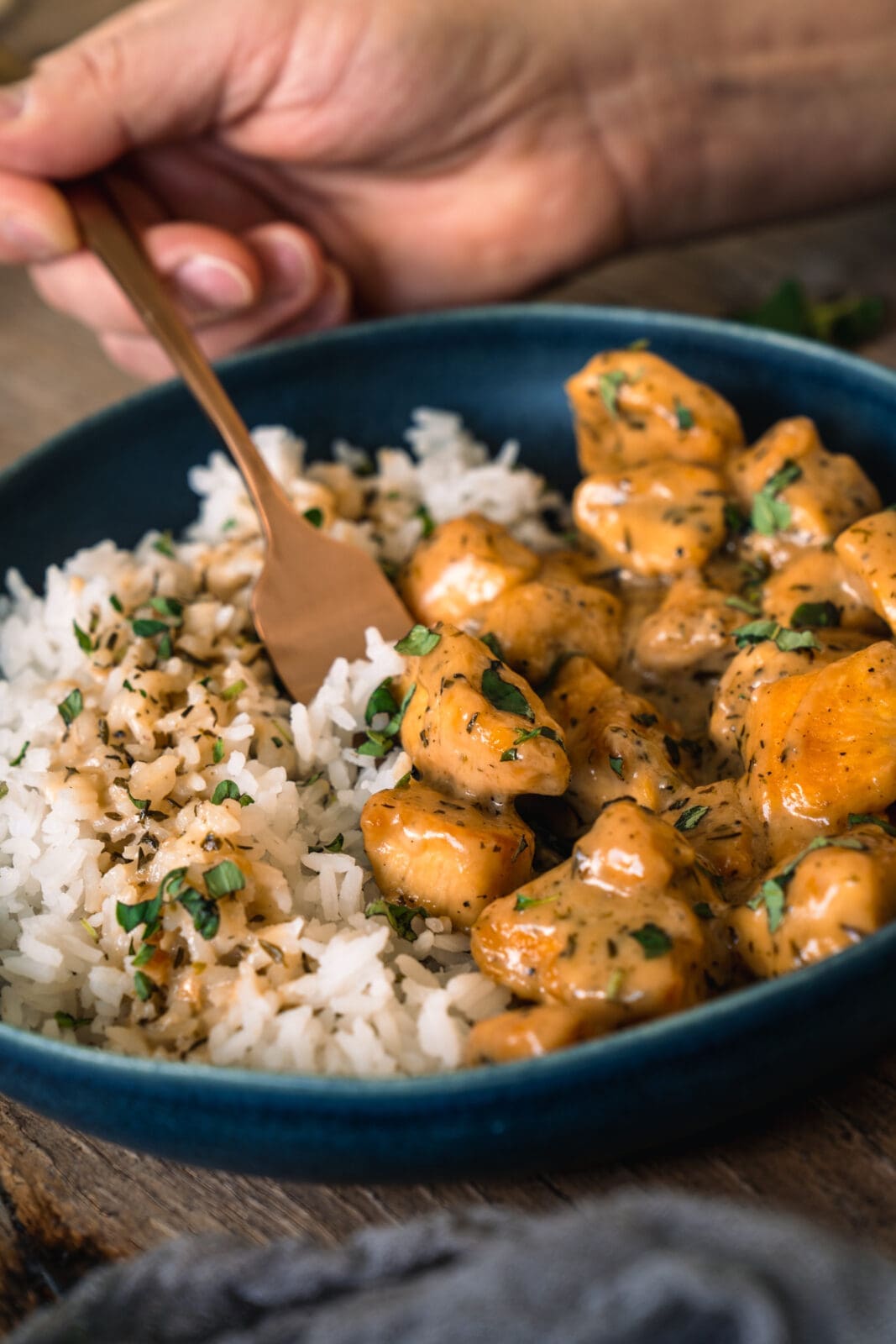 Hühnchen mit Reis und Soße