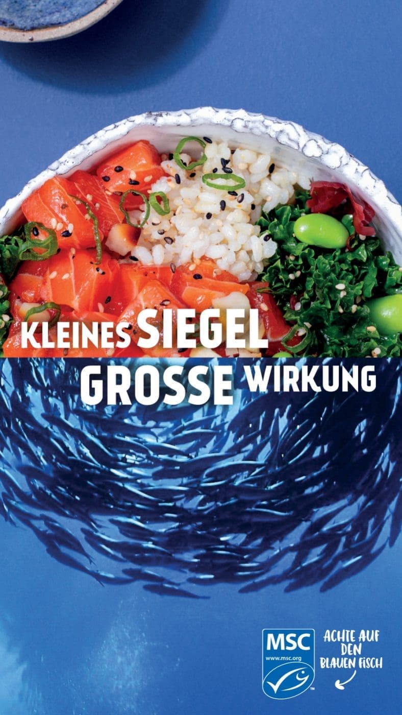 Rotbarsch mit Parmesan-Spaghetti zum TAG DER MEERE 6 WOD 3 KV | Wir lieben Fischgerichte - wie sieht das bei euch aus? Seit Kindertagen schon mag ich Fisch. So richtig aufgeblüht ist die Liebe aber erst während der ersten Urlaube am Meer. In Barcelona haben wir einige Fischrestaurants, die wir immer gerne besuchen. Fisch und die mediterrane Küche passen einfach sehr gut zusammen! Und damit wir auch in der Zukunft noch weitere spannende Rezept mit Fisch kreieren können, unterstützen wir den MSC zum diesjährigen Tag der Meere - dem World Ocean Day. Dieser lädt nämlich zum großen virtuellen Dinner und wir bringen Rotbarsch mit Parmesan-Spaghetti mit.