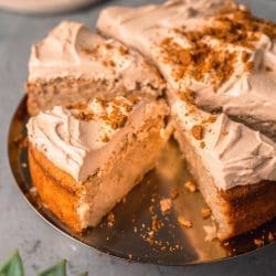 Saftiger Apfelkuchen mit Biscoff-Creme | cremig karamellig unwiderstehlich 5 Unser Apfelkuchen ist so saftig, dass er dich umhaut - und die cremige Biscoff-Creme darauf? Das ist einfach nur der Hammer! Also schnapp dir deine Backform und los geht's - wir zeigen dir, wie man diesen leckeren Apfelkuchen backt!