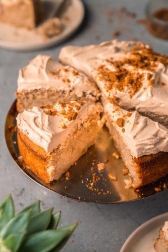 Unser Apfelkuchen ist so saftig, dass er dich umhaut - und die cremige Biscoff-Creme darauf? Das ist einfach nur der Hammer! Also schnapp dir deine Backform und los geht's - wir zeigen dir, wie man diesen leckeren Apfelkuchen backt!