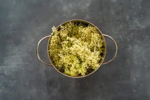 Holunderblütensirup selber machen | einfaches Grundrezept 5 Holunderbluetensirup 23 1 1 | Holunderblütensirup selber machen: So fangt ihr den Frühsommer in der Flasche ein