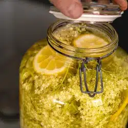 Holunderblütensirup selber machen. Glas beim Verschließen.