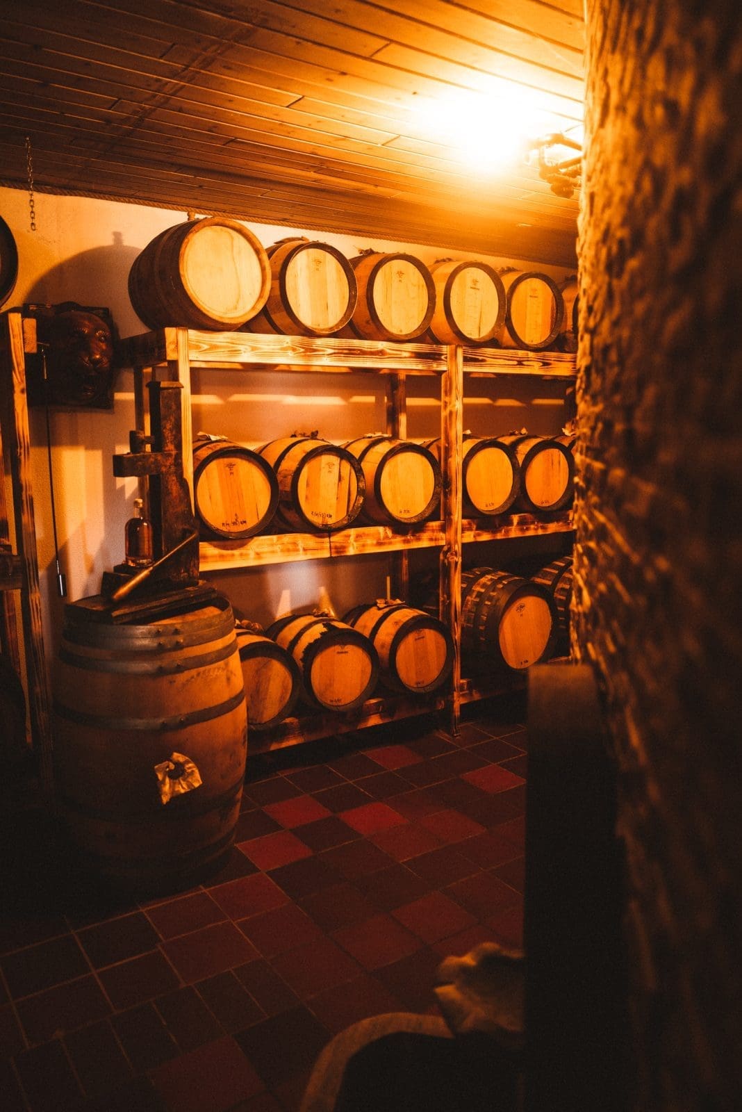 Limfjord Reiseführer: Kulinarische Highlights und traumhafte Landschaften! 33 Limfjord Tag3 53 | Mit Visit Denmark sind wir wieder in das wunderschöne Dänemark gereist. Dieses Mal ging es aber in die faszinierende Region des Limfjords. Bekannt für seine atemberaubenden Landschaften, köstlichen Meeresfrüchte und seine einzigartige Geschichte, ist der Limfjord der perfekte Ort für Naturliebhaber, Gourmets und Kulturbegeisterte. Folgt uns auf unserer Entdeckungsreise durch die Region und genießt die Schönheit und die Vielfalt des Limfjords.