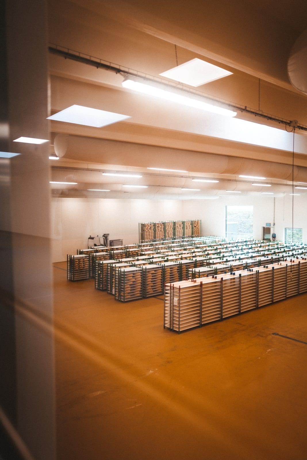 Limfjord Reiseführer: Kulinarische Highlights und traumhafte Landschaften! 31 Limfjord Tag3 57 | Mit Visit Denmark sind wir wieder in das wunderschöne Dänemark gereist. Dieses Mal ging es aber in die faszinierende Region des Limfjords. Bekannt für seine atemberaubenden Landschaften, köstlichen Meeresfrüchte und seine einzigartige Geschichte, ist der Limfjord der perfekte Ort für Naturliebhaber, Gourmets und Kulturbegeisterte. Folgt uns auf unserer Entdeckungsreise durch die Region und genießt die Schönheit und die Vielfalt des Limfjords.