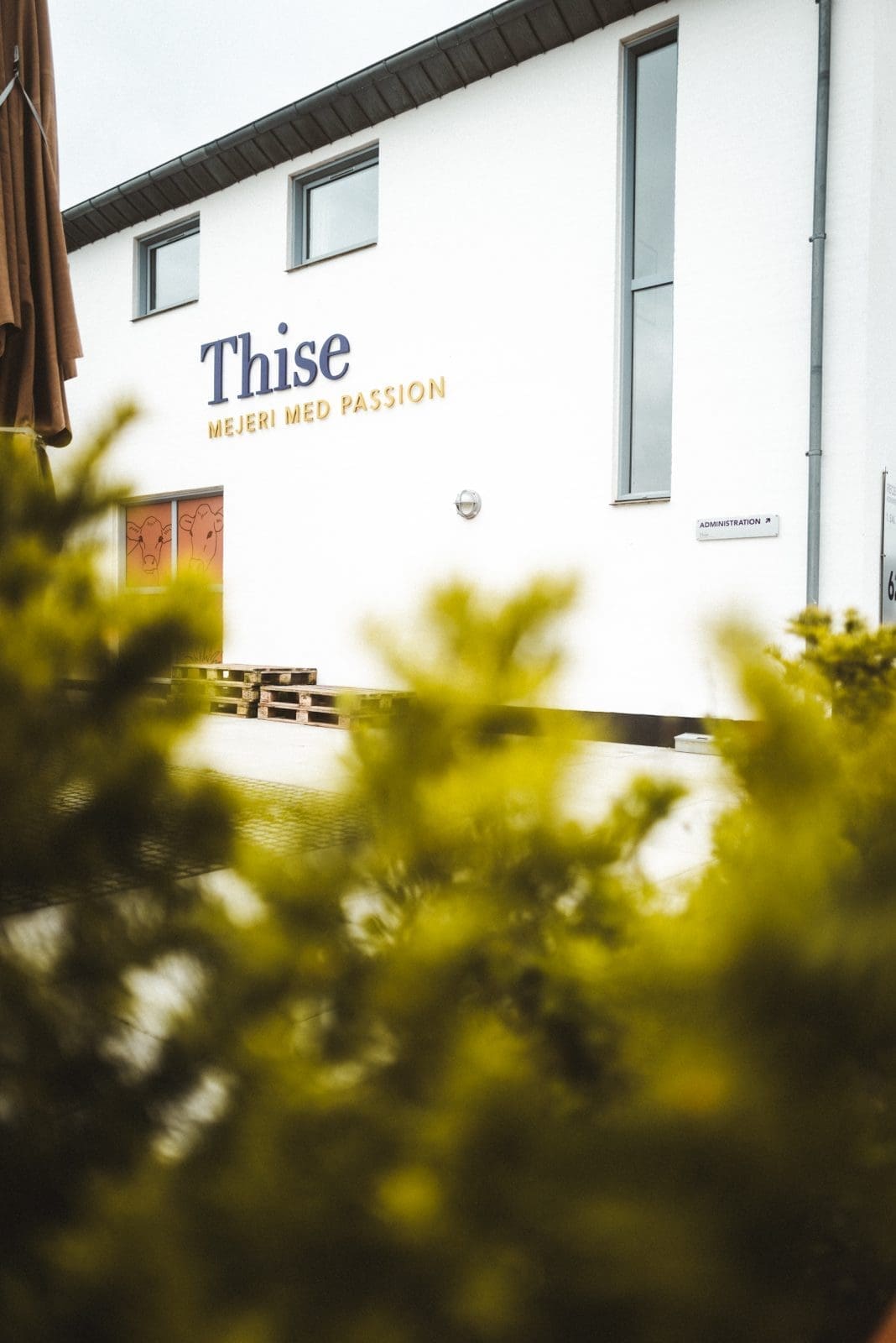 Limfjord Reiseführer: Kulinarische Highlights und traumhafte Landschaften! 28 Limfjord Tag3 63 | Mit Visit Denmark sind wir wieder in das wunderschöne Dänemark gereist. Dieses Mal ging es aber in die faszinierende Region des Limfjords. Bekannt für seine atemberaubenden Landschaften, köstlichen Meeresfrüchte und seine einzigartige Geschichte, ist der Limfjord der perfekte Ort für Naturliebhaber, Gourmets und Kulturbegeisterte. Folgt uns auf unserer Entdeckungsreise durch die Region und genießt die Schönheit und die Vielfalt des Limfjords.