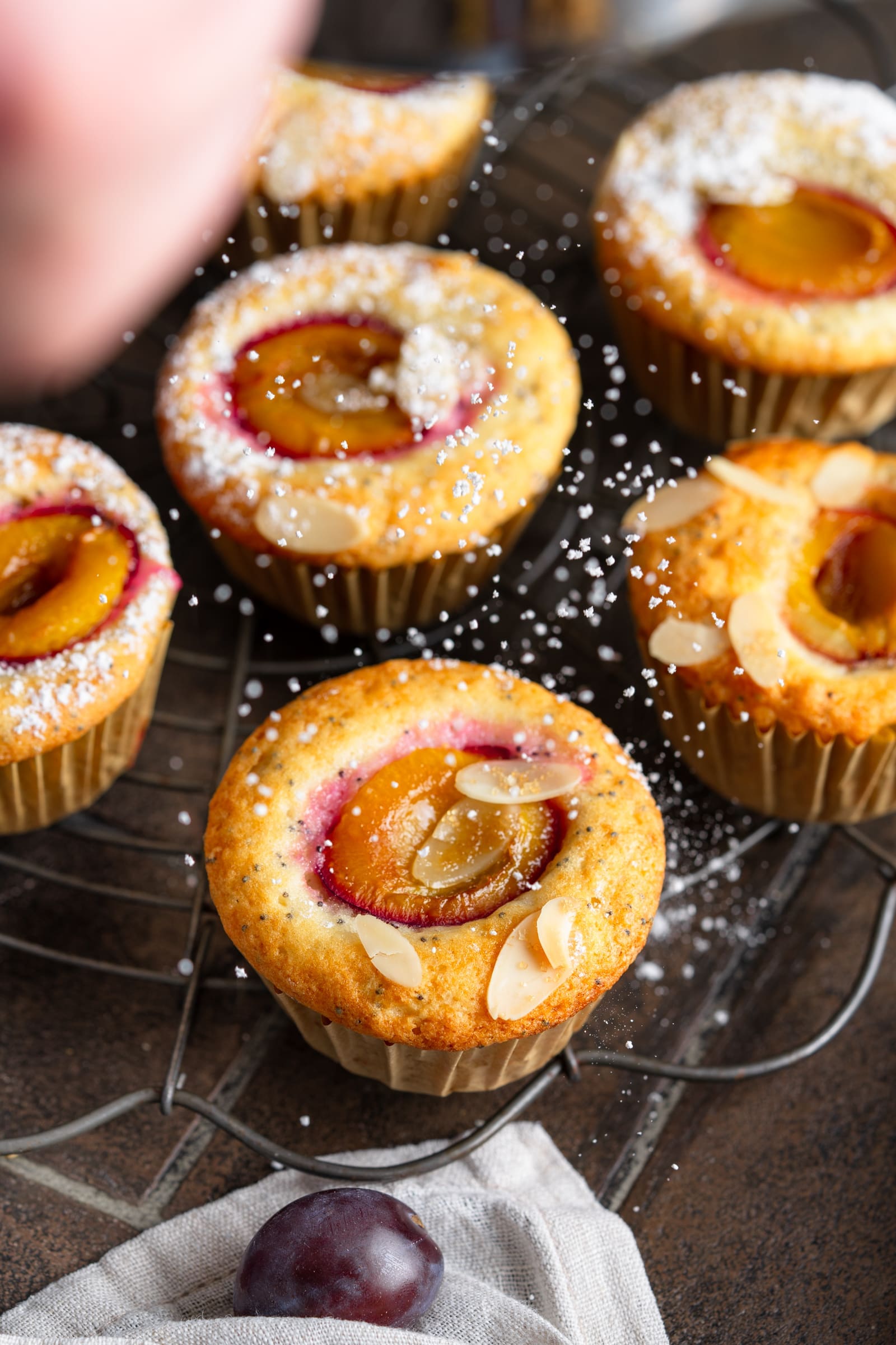 Rezept für Mandelmuffins mit Pflaume und Mohn. Der Teig ist schnell vorbereitet und die Muffins im Nu gebacken. Fix und heiß auf dem Tisch.