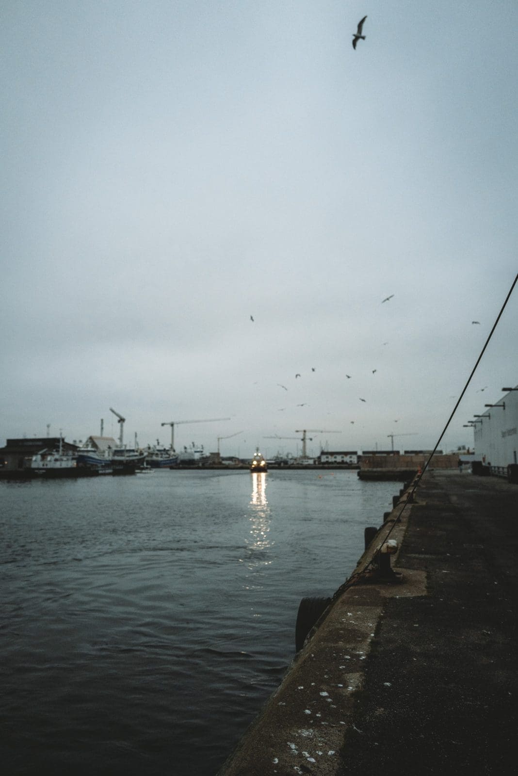 Die Jungs unterwegs in Skagen: Dänemarks Norden kulinarisch erleben! 14 Skagen 211 | Unsere letzte Reise mit VisitDenmark führte uns in die malerische Region Skagen in Dänemark, wo wir gemeinsam mit Andrea von Zimtkeks und Apfeltarte und Simone von S-Küche die lokale Küche, atemberaubende Natur und die herzliche Gastfreundschaft erleben durften. Getragen von der Sehnsucht nach neuen kulinarischen Entdeckungen, begann unser Abenteuer.