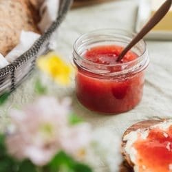 Rhabarber Marmelade Lea 14 | Wir können es kaum glauben, aber die Zeit, auf die wir uns so lange gefreut haben, ist ganz bald schon wieder vorbei, und unser&nbsp;Rhabarber Chutney&nbsp;ist die perfekte Möglichkeit, diese köstliche Saison zu verlängern. Die Rhabarberzeit nämlich. Vielleicht geht es euch genauso und ihr würdet am liebsten das ganze Jahr über den frischen Rhabarber ernten und als Kuchen, im Dessert oder auch in herzhaften Gerichten genießen. Aber zum Glück geht das nicht, denn sonst wäre die Freude darüber, dass es wieder losgeht, gar nicht möglich. Wir haben uns aber gedacht, dass man den Rhabarber kurz vor Ende der Erntezeit konservieren sollte. Und genau das machen wir mit unserem neuen Rezept für ein leckeres Rhabarber Chutney.