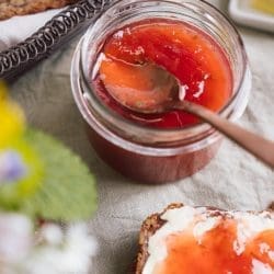 Rhabarber Marmelade mit Minze und Gin 17 Rhabarber Marmelade Lea 16 | Wir hoffen, ihr könnt noch Rhabarber-Rezepte sehen. Denn wir haben eine neue leckere Rhabarber Marmelade mit Minze und Gin gekocht. Das heißt, eigentlich hat Lea sie gemacht und sie hat uns ganz begeistert von ihrer "Rhabarber-Resteverwertung" erzählt. Da wir uns unseren langersehnten Urlaub auf Mallorca gegönnt haben, hatte Lea ja genügend Zeit, sich im Studio auszutoben. Und herausgekommen ist diese super leckere neue Marmelade, die natürlich in Wirklichkeit ein Fruchtaufstrich ist, da sie nicht aus Zitrusfrüchten besteht und daher den Namen Marmelade nicht "verdient". Aber sei es drum Ihr wisst, nachkochen solltet ihr sie egal wie sie heißt!