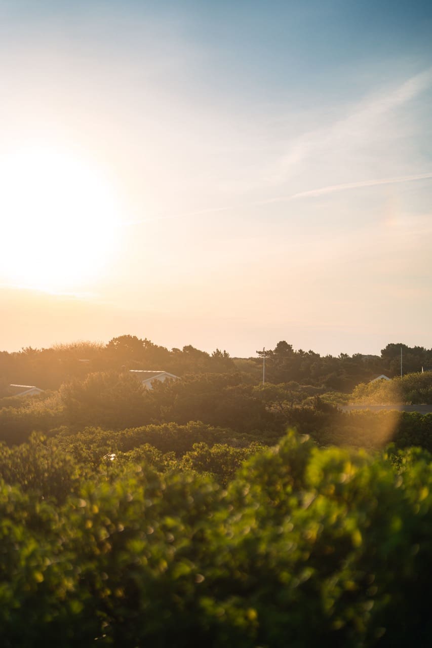 Ferienhaus Dänemark Guide: Regionen, Tipps & persönliche Erfahrungen 3 Ferienhaus Dänemark am Meer mit Blick auf die Dünen