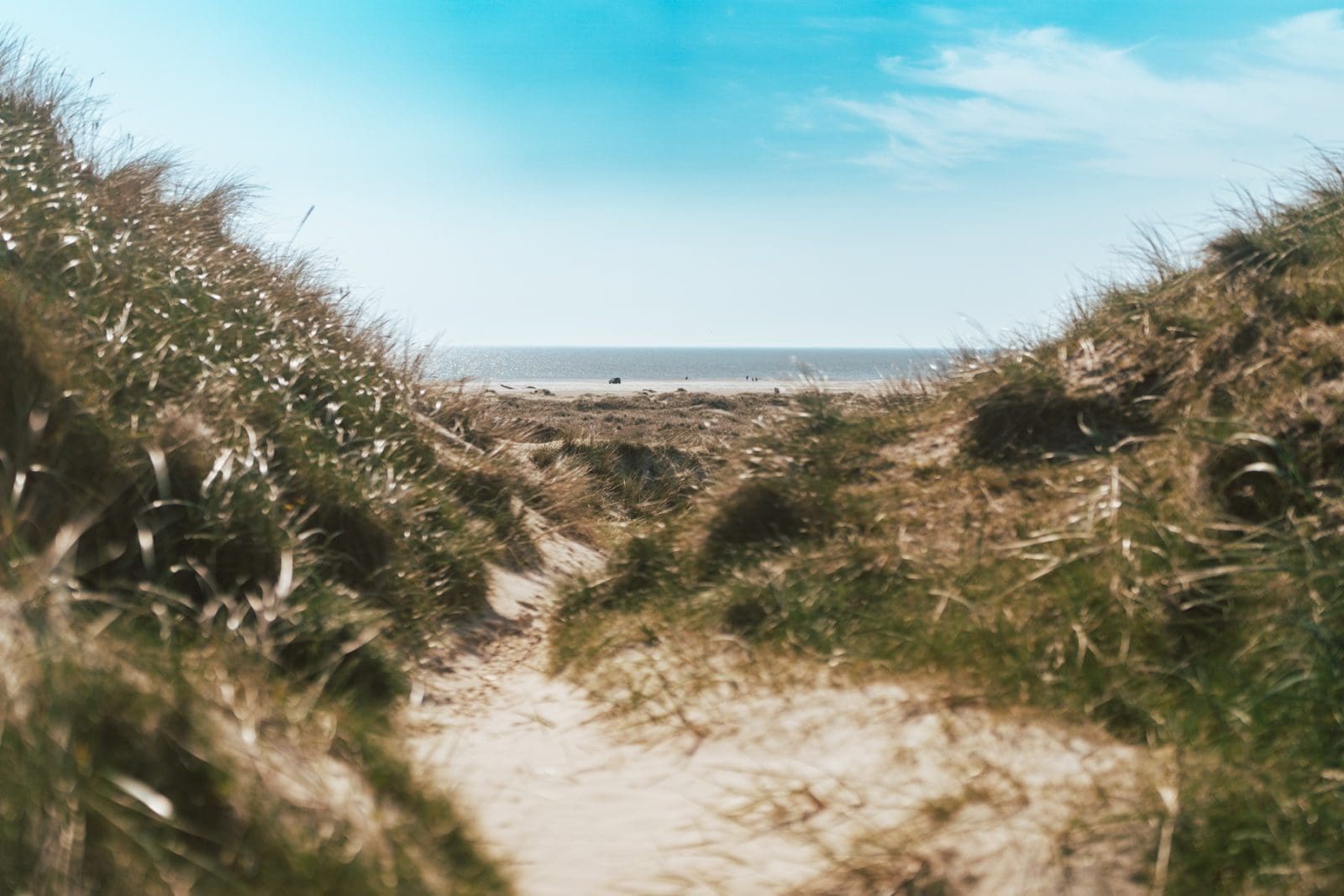 Fano Daenemark 5 | Willkommen zu unserem neuesten Reiseabenteuer in Dänemark! Es ging nach Fanø, einer wunerschönen Insel in der Nordsee vor der Westküste Dänemarks. Maja von moey's Kitchen, Simone von der S-Küche und wir waren sofort gepackt von der tollen Atmosphäre der Insel – eine Mischung aus unberührter Natur, historischen Dörfern und einer tief verwurzelten maritimen Geschichte. Fanø ist ein Ort, an dem die Zeit stillzustehen scheint und die Hektik des Alltags in ganz ganz weite Ferne rückt. UND auf der man ausgezeichnet Schlemmen kann!