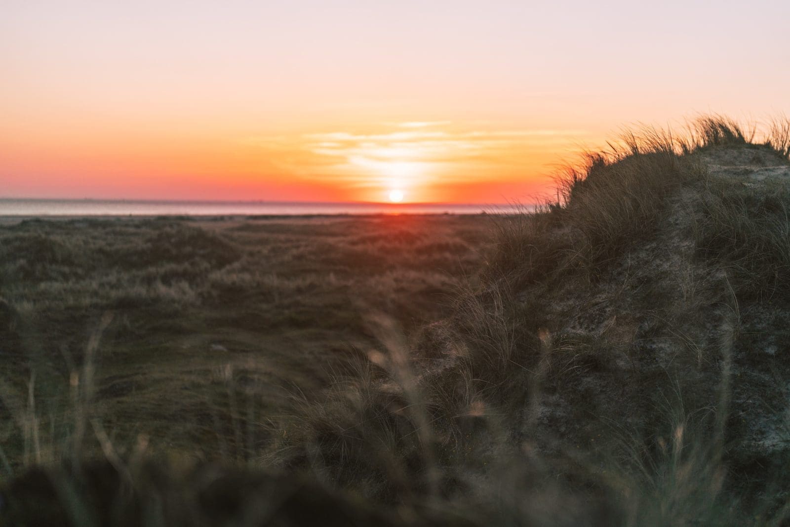Fano Daenemark 81 | Willkommen zu unserem neuesten Reiseabenteuer in Dänemark! Es ging nach Fanø, einer wunerschönen Insel in der Nordsee vor der Westküste Dänemarks. Maja von moey's Kitchen, Simone von der S-Küche und wir waren sofort gepackt von der tollen Atmosphäre der Insel – eine Mischung aus unberührter Natur, historischen Dörfern und einer tief verwurzelten maritimen Geschichte. Fanø ist ein Ort, an dem die Zeit stillzustehen scheint und die Hektik des Alltags in ganz ganz weite Ferne rückt. UND auf der man ausgezeichnet Schlemmen kann!