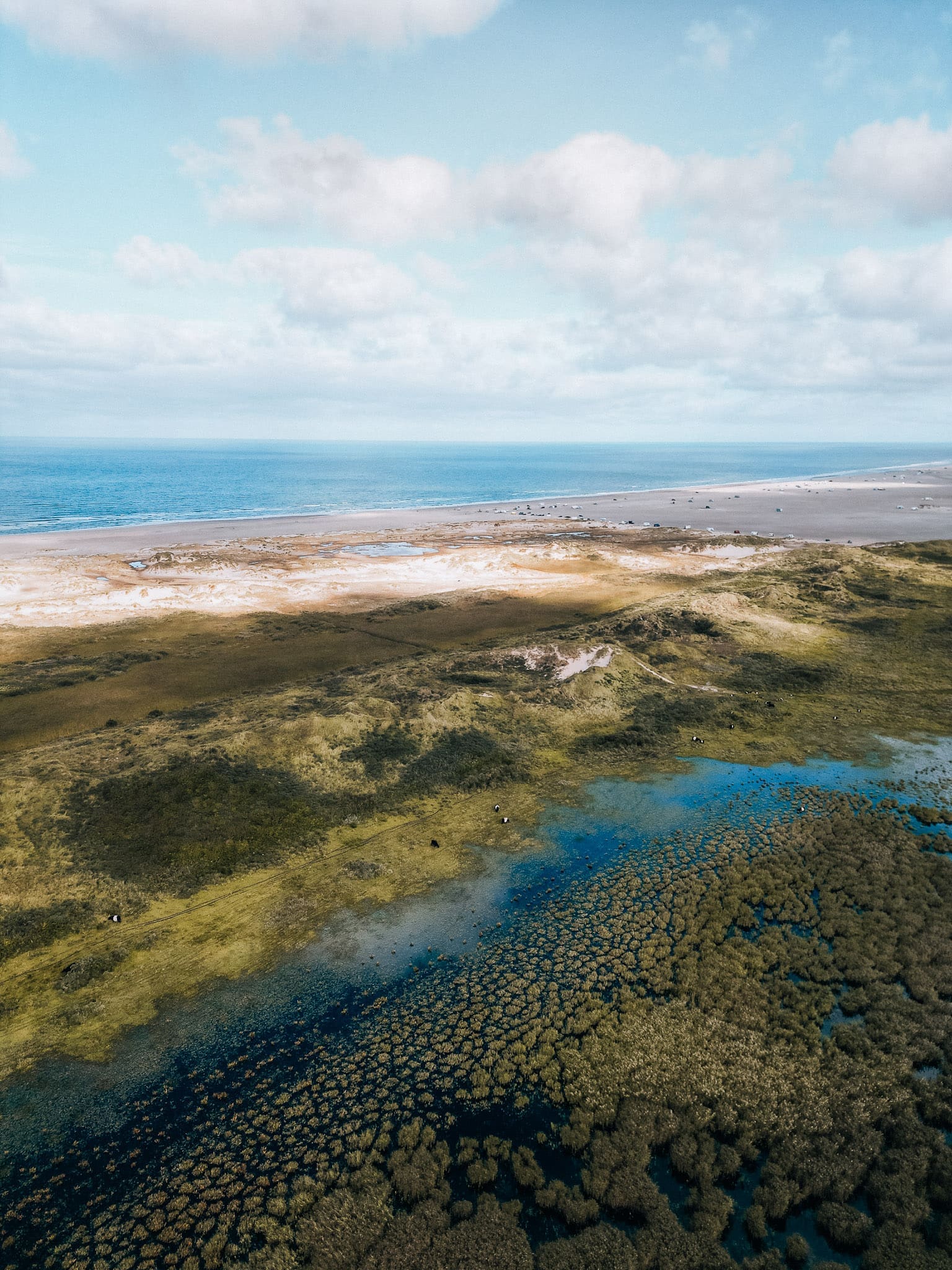 Romo Daenemark 1 3 1 | Erlebe unsere unvergessliche Reise nach Rømø, gemeinsam mit unseren Bloggerfreunden Andrea (Zimtkeks & Apfeltarte) und Simone (S-Küche). Von Blokarting auf dem Sønderstrand bis hin zu köstlichen Marschlammgerichten – wir tauchten ein in die beeindruckende Natur des UNESCO-Wattenmeers und genossen jede Menge kulinarische Highlights. Begleite uns auf dieser faszinierenden Reise!