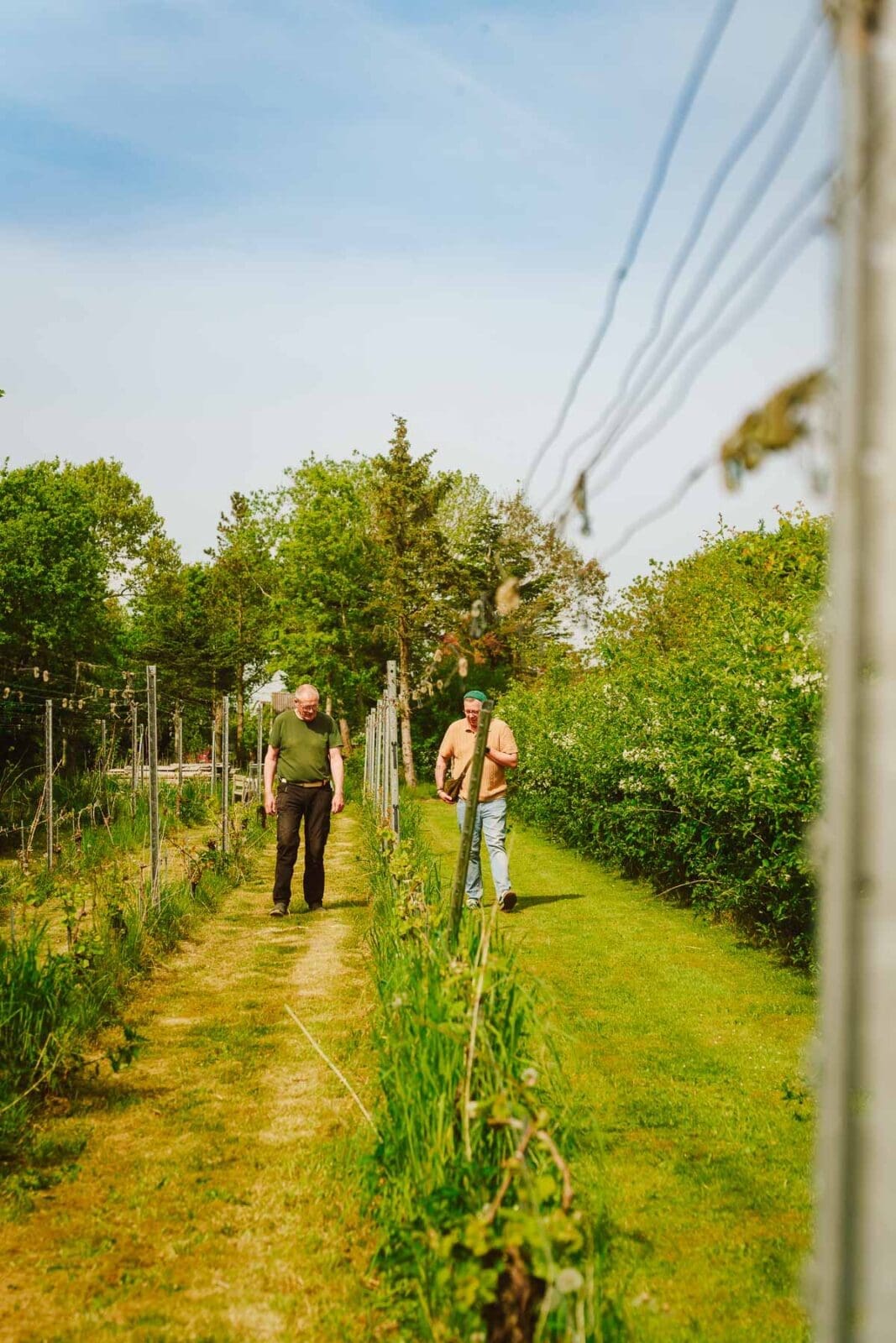 Blavand Daenemark 87 | Ein Ferienhaus an Dänemarks Westküste, gutes Essen, ehrliche Produzenten und viel Natur: Blåvand hat uns wieder begeistert. Unsere Highlights & Geheimtipps für eure Reise.