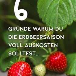 Erdbeeren | Erdbeerträume werden wahr: Diese 6 Erdbeerrezepte musst du diesen Sommer probieren!