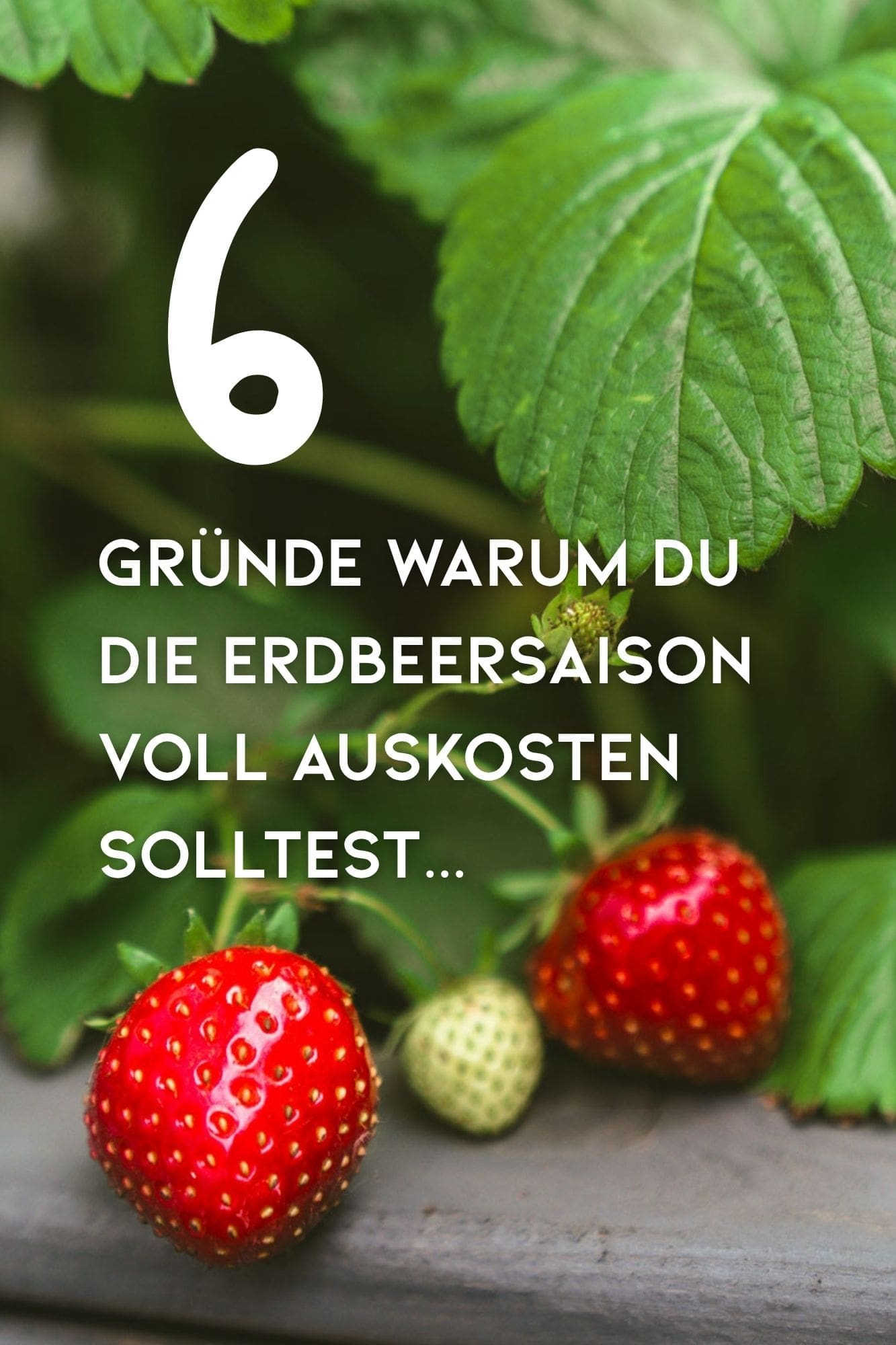 Erdbeeren | Erdbeerträume werden wahr: Diese 6 Erdbeerrezepte musst du diesen Sommer probieren!