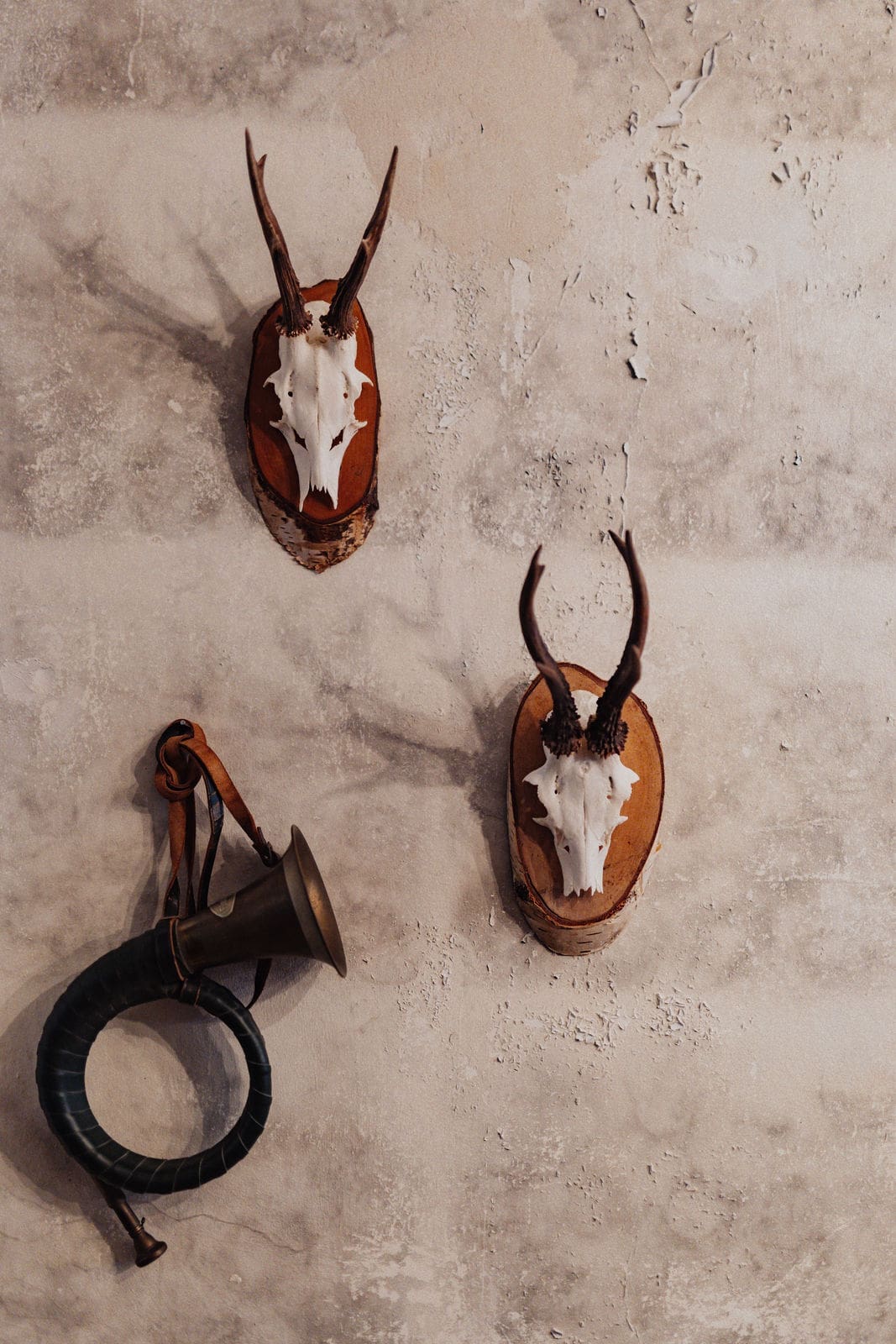 1 7G7A8006 | Wildbolognese mit Wildschweinfleisch – regional, kräftig, perfekt für Wein- und Glühweinabende.