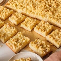 Apfel Streuselkuchen nach Oma Lore mit Hefeteig, saftigen Äpfeln und knusprigen Streuseln. Tipps zu Sorten, Einfrieren und Backzeit.