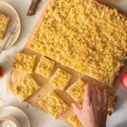 Oma Lores Apfel Streuselkuchen | Fluffig, Saftig und knusprig 21 Apfel Streuselkuchen nach Oma Lore mit Hefeteig, saftigen Äpfeln und knusprigen Streuseln. Tipps zu Sorten, Einfrieren und Backzeit.