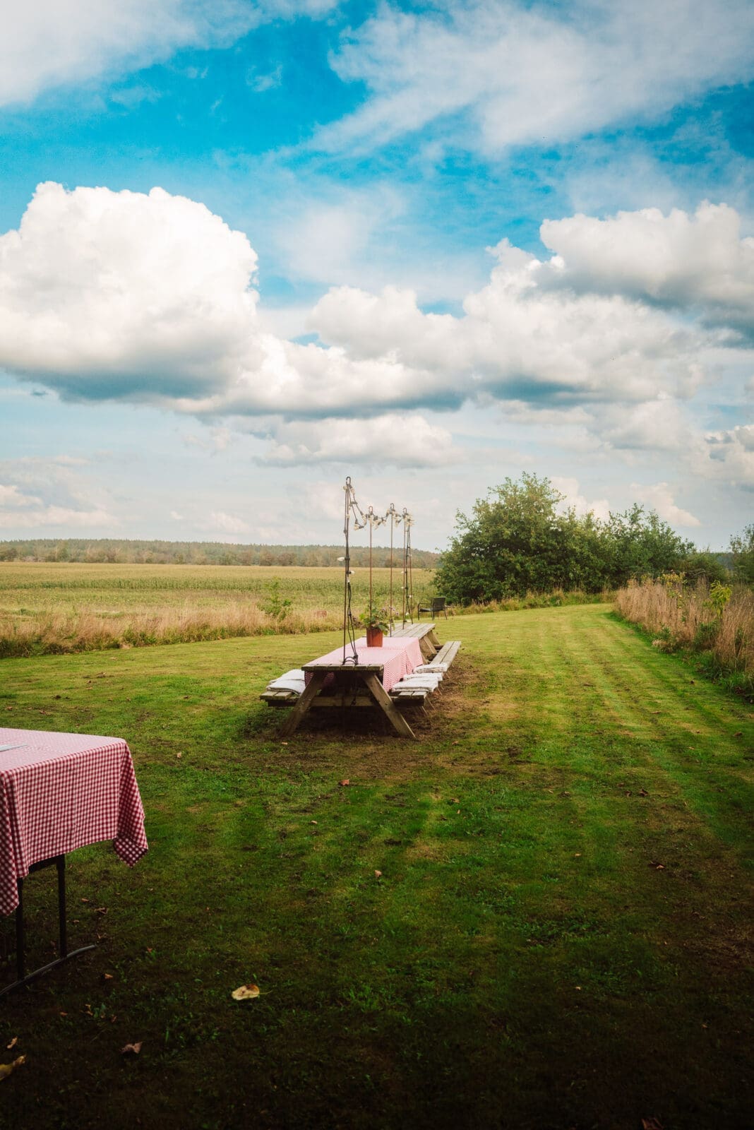 Kulinarische Entdeckungen an Dänemarks Nordwestküste – regionaler Genuss zwischen Fjand, Holstebro und Lemvig.