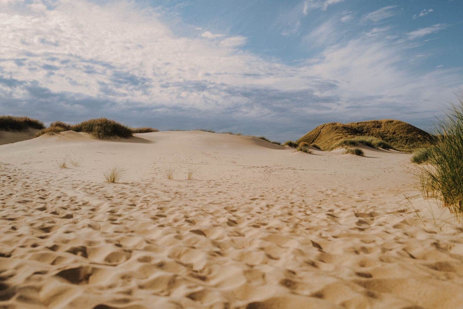 Entspannter Moment an Dänemarks Nordwestküste – weite Dünen, Nordseeluft und das Gefühl von Ruhe im Spätsommer.