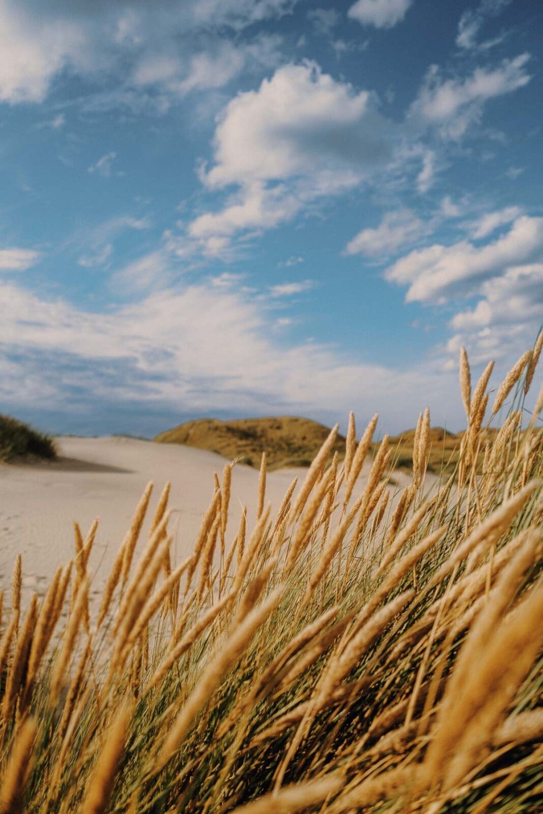 Entspannter Moment an Dänemarks Nordwestküste – weite Dünen, Nordseeluft und das Gefühl von Ruhe im Spätsommer.