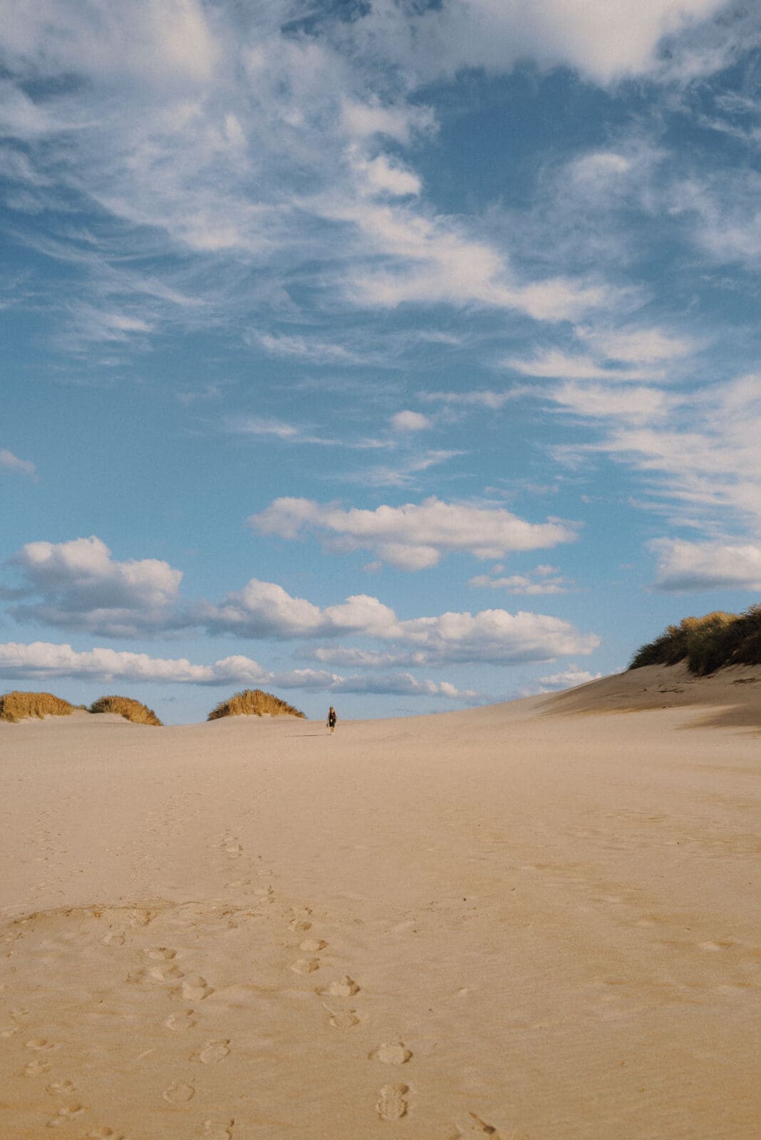 Authentische Eindrücke aus Fjand – Menschen, Orte und Geschmackserlebnisse entlang der Nordseeküste Dänemarks.