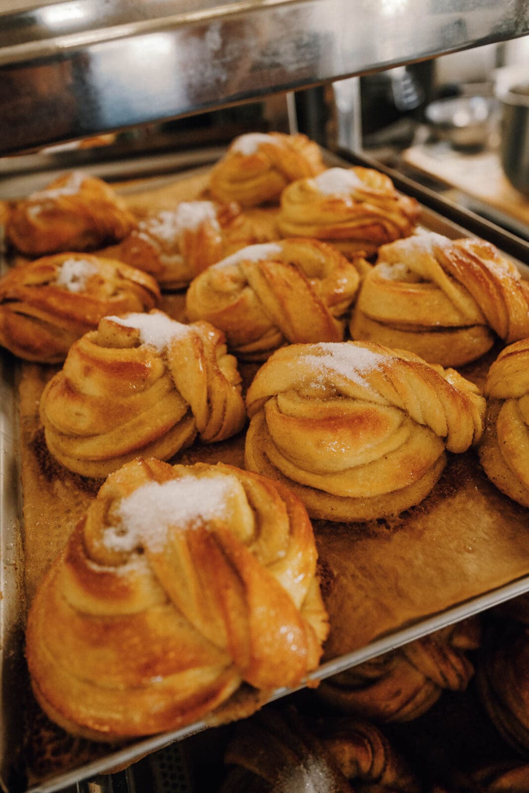 Kulinarische Entdeckungen an Dänemarks Nordwestküste – regionaler Genuss zwischen Fjand, Holstebro und Lemvig.