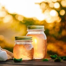 Fichtennadelsirup abgefüllt in Gläsern auf dem Gartentisch im Sonnenlicht
